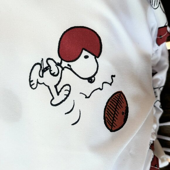 New Peanuts Snoopy Sunday Football QUEEN Size Sheet Set - Picture 2 of 6